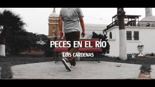 Peces en el Rio Videoclip oficial  Luis Cardenas [upl. by Nailuj610]