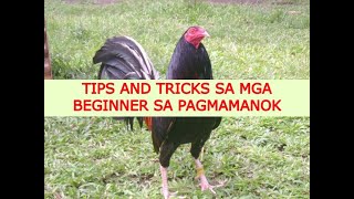 TIPS AND TRICKS SA MGA BEGINNER SA PAGMAMANOK  TARI  TALPAK  SABONG TIPS  BAKBAKAN  TUKAAN [upl. by Nirat]