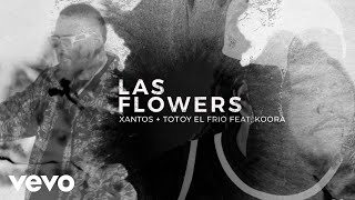 Xantos Totoy El Frio  ft Koora Las Flowers Video Oficial [upl. by Animrelliug]