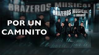 Brazeros Musical De Durango  Por Un Caminito  Por Ti [upl. by Xino]