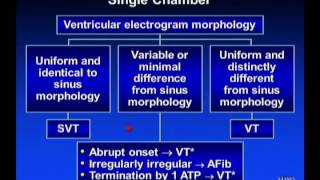 ICD Troubleshooting  Dr Friedman Mayo Clinic [upl. by Leber366]