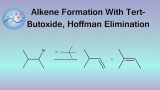 Alkene Formation With TertButoxide Hoffmann Elimination Mechanism  Organic Chemistry [upl. by Boykins]