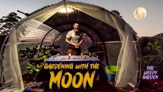 Moon Planting And Gardening Guide  Moon Planting Unlocking the Full Potential of Your Seeds [upl. by Kahaleel]