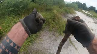 Barberville Florida Farm Field Hike explorer history volusiacounty bottles [upl. by Assin354]