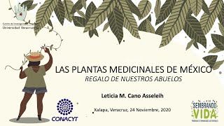 Las Plantas Medicinales de México Regalo de Nuestros Abuelos [upl. by Anahsek]