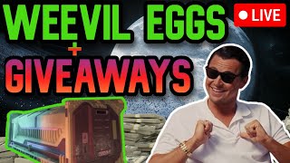 🔴LIVE GIVEAWAYS 🚀WEEVIL EGGS🚀VAUGHN MISSIONS🚀MONEY METHODS 🚀 D amp P amp T amp Org [upl. by Arocal908]