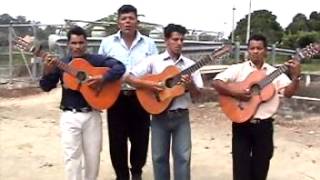 Pasillos y pasacalles ecuatorianos guitarras  Santa Lucía Guayas Ecuador [upl. by Algernon]