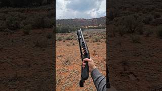 Mossberg 590S Shockwave 12g shotgun [upl. by Valentina]