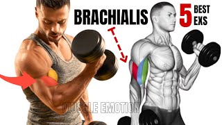 5 BEST BRACHIALIS WORKOUT AT GYM TO GET BIGGER ARMS FAST [upl. by Hannahs]