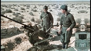 Italian AntiAircraft Artillery of World War II [upl. by Anneuq]