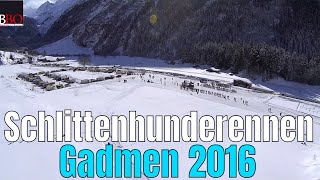 Schlittenhunderennen Gadmen 2016 [upl. by Herr]