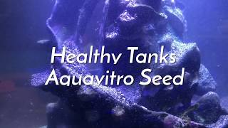 Healthy Aquariums Quick Intro to AquaVitros quotSeedquot [upl. by Rena]