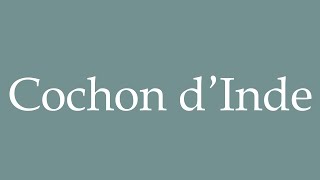 How to Pronounce Cochon d’Inde Correctly in French [upl. by Nidnal478]