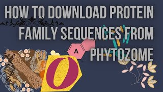 Download sequence of gene family from phytozome [upl. by Fidelia]