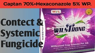 Wilstrong Contect amp Systemic Fungicide  Captan 70 Hexaconazole 5 WP [upl. by Ecenahs]