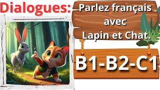 17 Dialogues  Les Aventures du Chat et du Lapin  B1 à C1 parler le français ‏الترجمة للعربية [upl. by Possing]