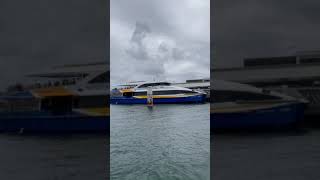 Manly Fast Ferry arrives at Manly sydney sydneyferries [upl. by Irim975]