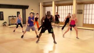 Billy Blanks Tae Bo Bootcamp Shred [upl. by Aneerhs736]