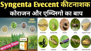 Syngenta Evecent कीटनाशक । Evecent Insecticide । Hindi । Syngenta Evecent insecticide । Evecent [upl. by Shiau305]