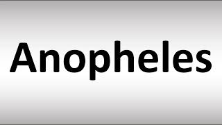 How to Pronounce Anopheles [upl. by Sirrep]