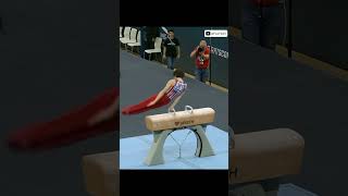 Stephen Nedoroscik  Spectacular Gold on Pommel Horse  2024 World Cup [upl. by Burdelle600]