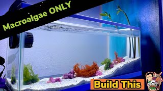 Building Macroalgae ONLY Aquarium  Start to finish 4K [upl. by Odnolor]