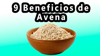 9 beneficios para la salud de la Avena Avena Beneficios [upl. by Channing254]