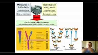 Modern Synthesis Theory of Evolution [upl. by Rehpotsirhc]