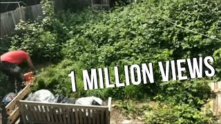 How to clear an overgrown garden  Time lapse [upl. by Katy]