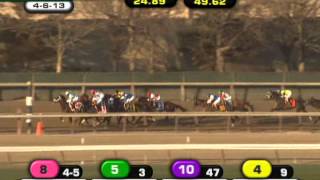 Verrazano  2013 Wood Memorial G1 [upl. by Merill]