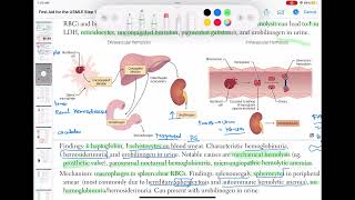 Extravascular hemolysis haematology 44 First Aid USMLE Step 1 in UrduHindi [upl. by Eilahs747]