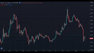 Bitcoin Historical Price Timelapse 20122021 [upl. by Ialohcin]