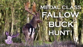 MONSTER MEDAL CLASS FALLOW BUCK HUNT [upl. by Werdma]