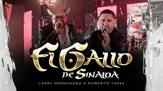 Larry Hernandez X Roberto Tapia  El Gallo De Sinaloa En Vivo [upl. by Irtemed161]