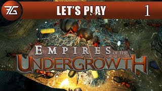 Empires of the Undergrowth  Ep 1 Creepy Crawlies [upl. by Cris]