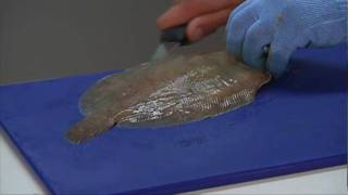 How to fillet a flat fish [upl. by Elleimac797]