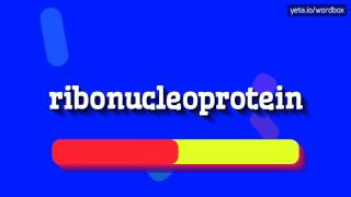 RIBONUCLEOPROTEIN  HOW TO PRONOUNCE IT [upl. by Neff585]