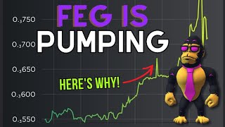 Feg Token is pumping Heres why [upl. by Judas]