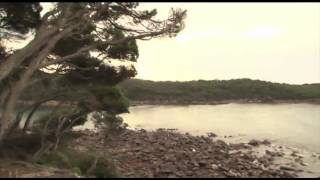 Light to Light Coastal Walk Part 2  Ben Boyd National Park [upl. by Jonette]