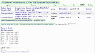 Marking a Gene Pair in a SynMap Dotplot [upl. by Odlaner]