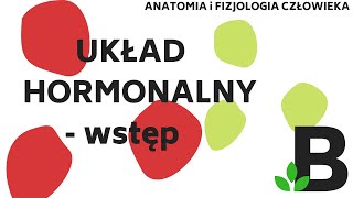 UKŁAD HORMONALNY wstęp  Anatomia i fizjologia człowieka  KOREPETYCJE z BIOLOGII  300 [upl. by Rutger]