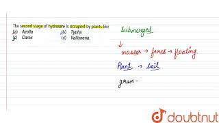 The second stage of hydrosere is occupied by plants like [upl. by Lancey308]