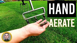 3 Lawn Aeration Tools and When to Use Solid and Hollow Tine [upl. by Sielen]