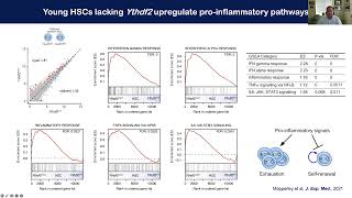 Kamil Kranc quotThe impact of RNA modifications on normal and malignant haematopoiesis” [upl. by Llerdnad]