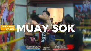 Dangerous Elbow Combinations  Muay Thai Elbow Strikes for KO [upl. by Laurance210]