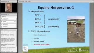 Lessons Learned from Recent Equine Herpesvirus1 Outbreaks [upl. by Ailliw]