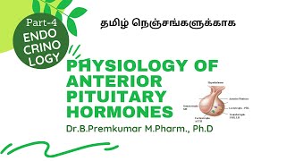 Anterior Pituitary Hormones  EndocrinologyPart4Tamil [upl. by Iaw]