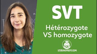 Hétérozygote VS homozygote  SVT  Terminale  Les Bons Profs [upl. by Arayk]