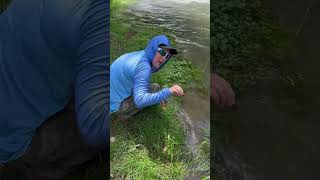 Midwest Fly Fishing Magic troutfishing flyfishing explorishingadventures [upl. by Tserof]