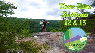 Tuscarora Trail Sections 12 amp 13 ThruHike Adventure [upl. by Cutcheon]